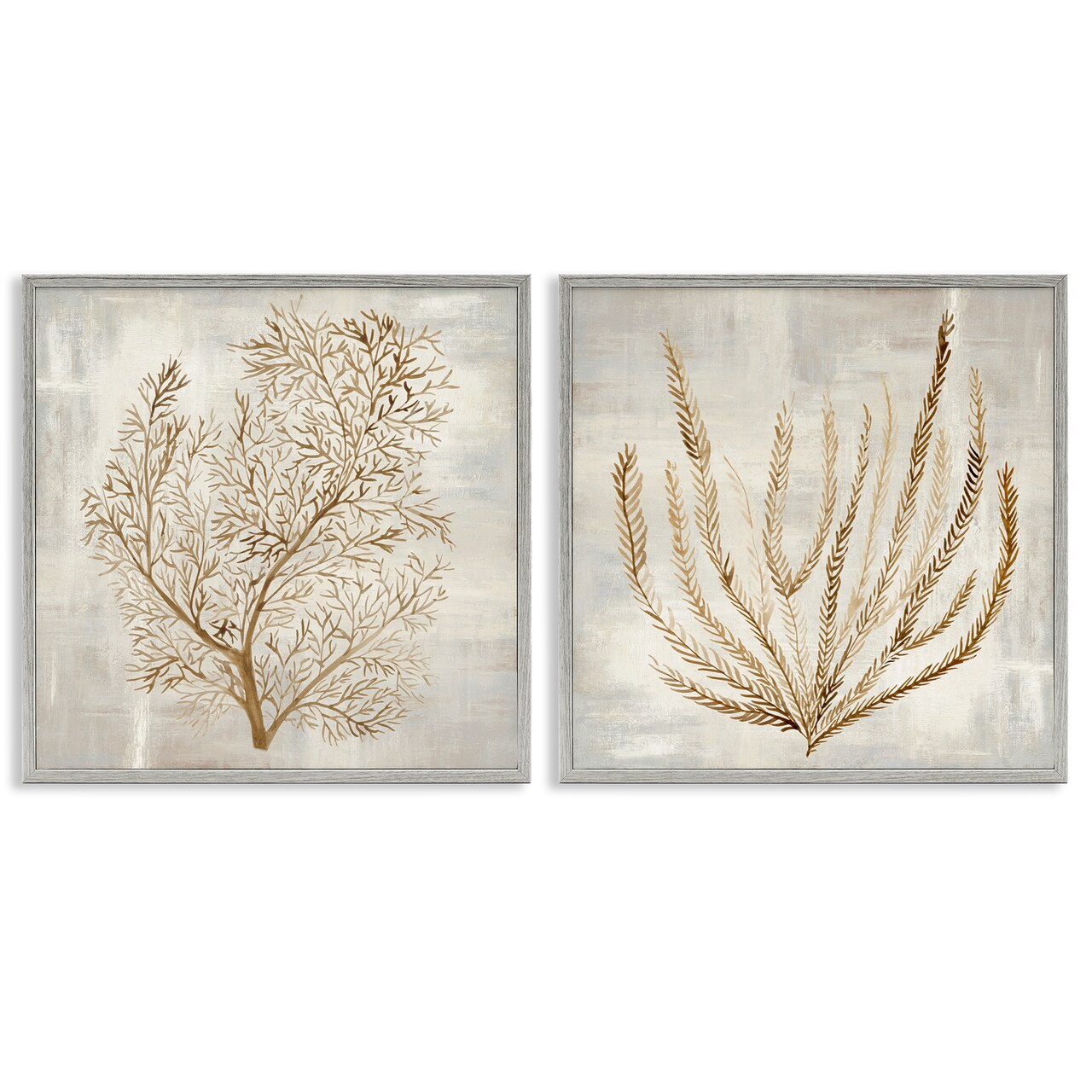 Stupell Industries Beige Tides Coral Branches 2pc Framed Giclee Set, design by Hannah Dawson